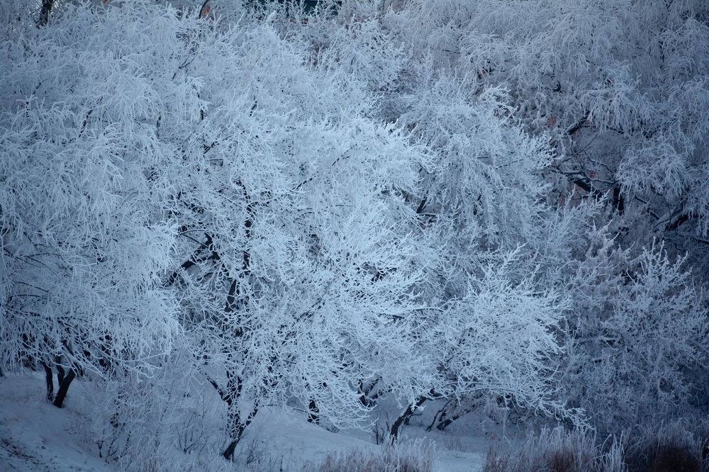 Photograph by Олег Терешкин