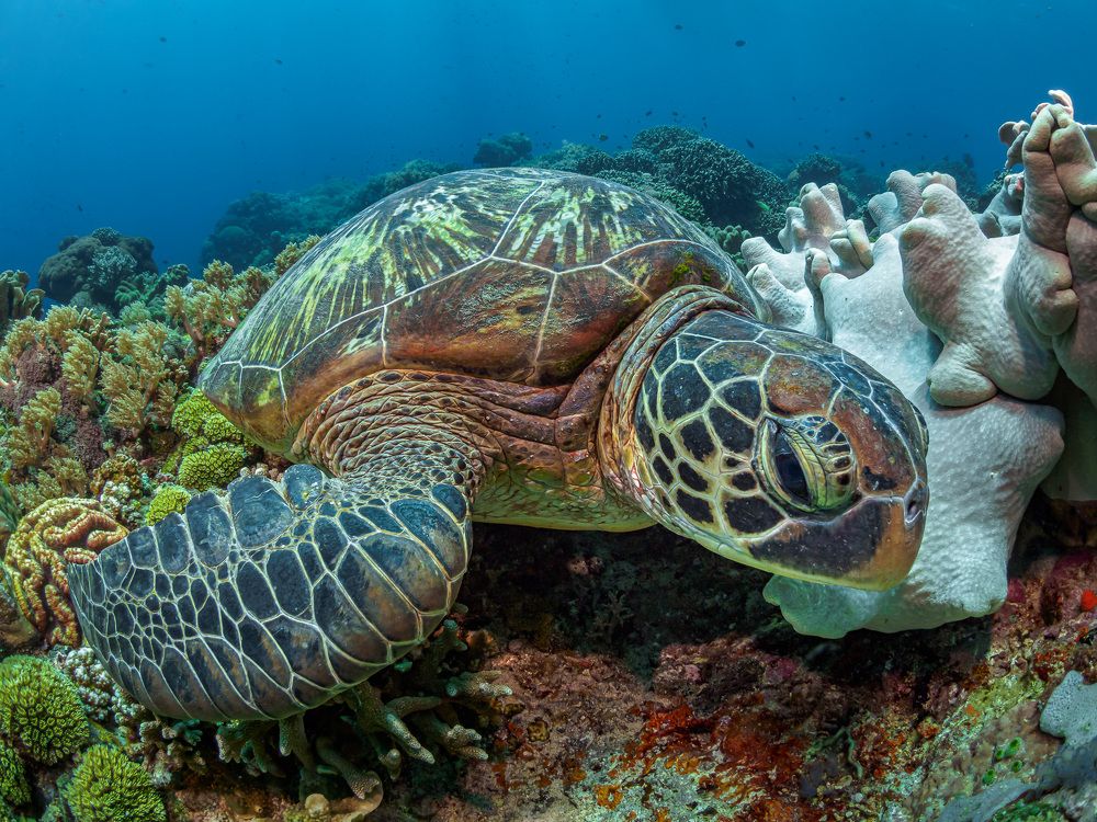 Photograph by Андрей Савин