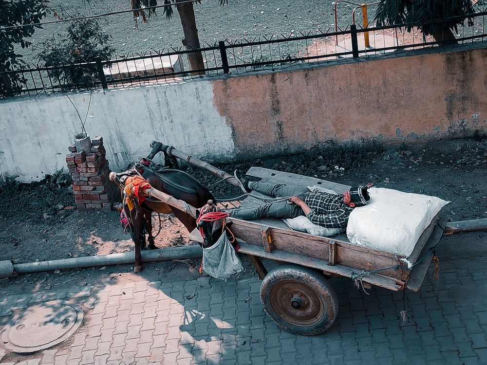 Photograph by Kirtija Rastogi