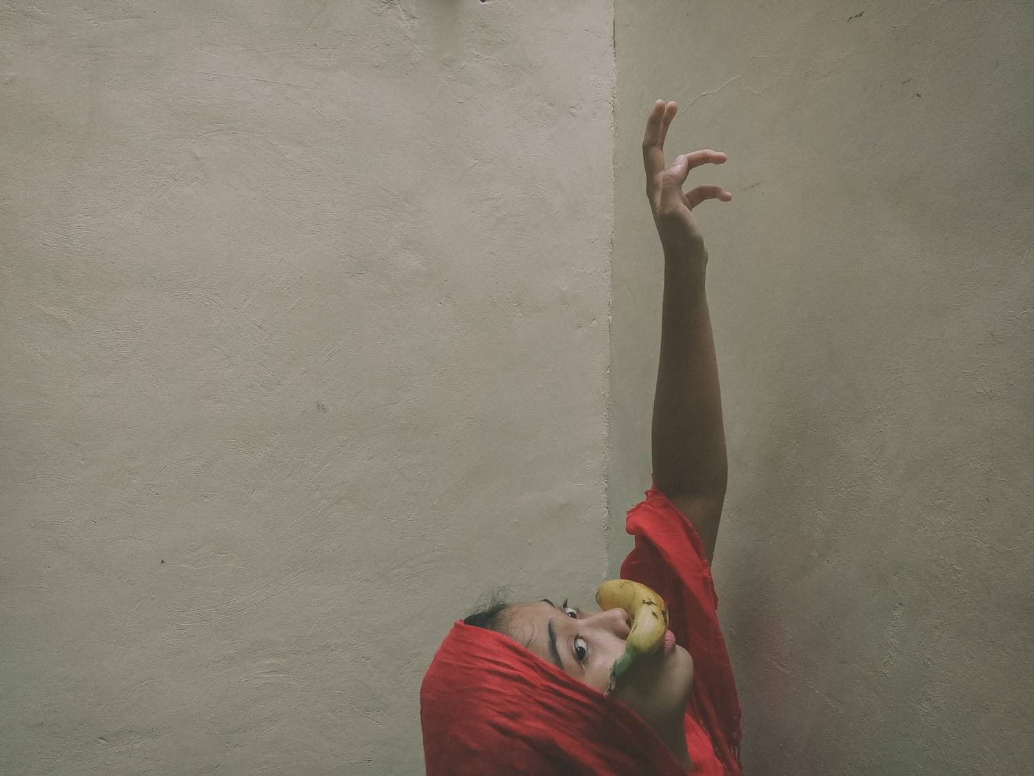 Photo #6235967