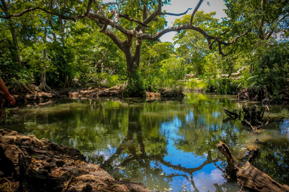 Фотография автора Atham Lebbe Zulfa