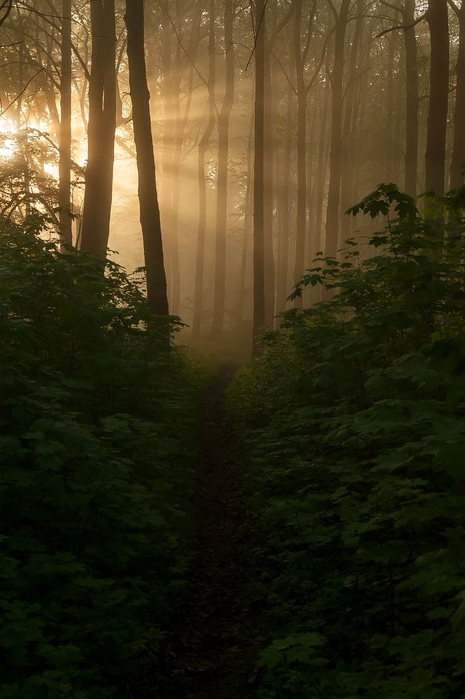 Photograph by Виталий Стрельцов