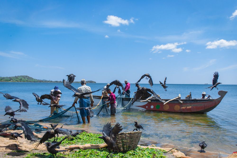 Фотография автора Atham Lebbe Zulfa