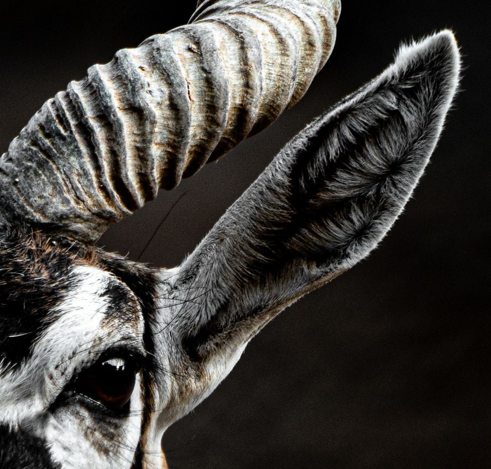 Фотография автора Mohammad Alhadhoud