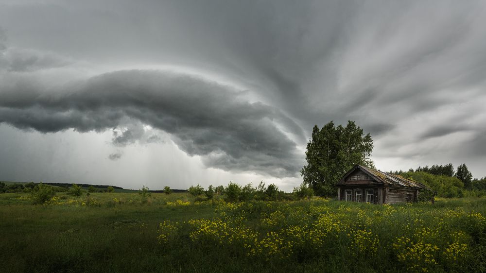 Крылья небес