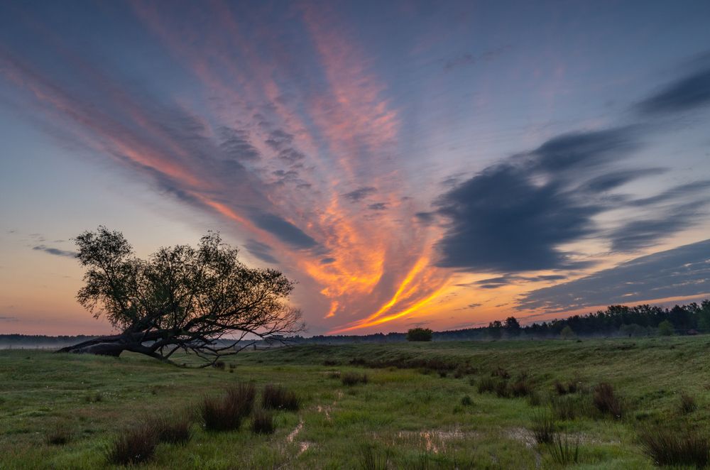 Photograph by Ewa Siwiecka