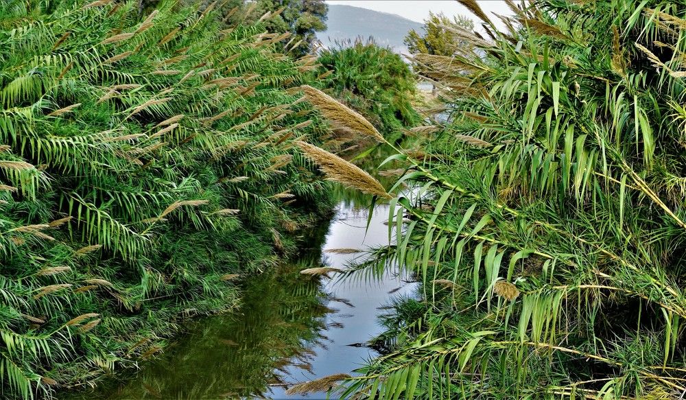 Photograph by Marina Eremin