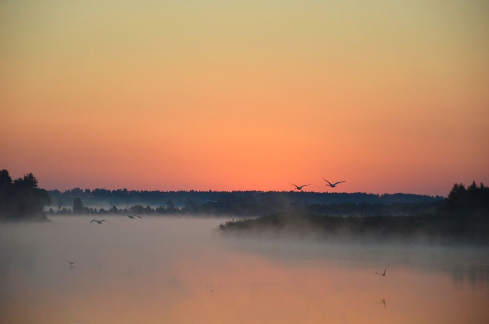 Photograph by Marija Stanislavich