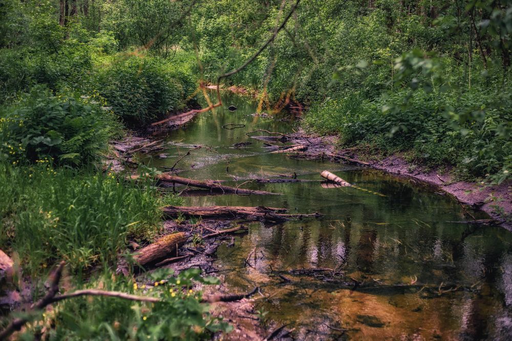 Река Лось /Elk River