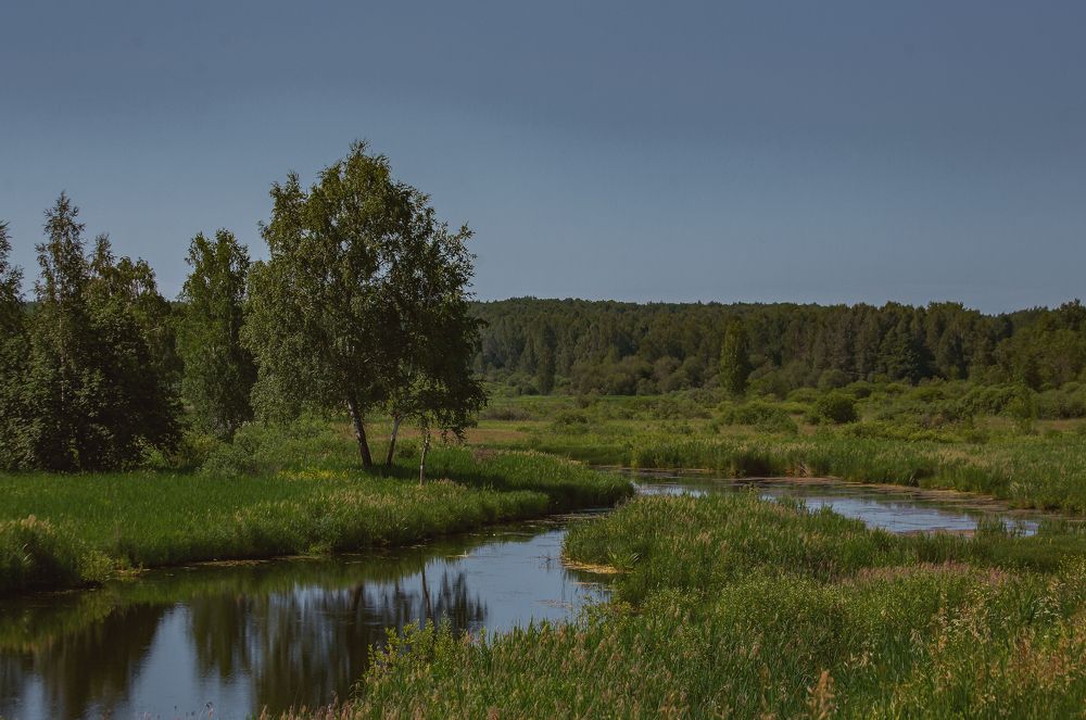 Река Сежа / Sezha River