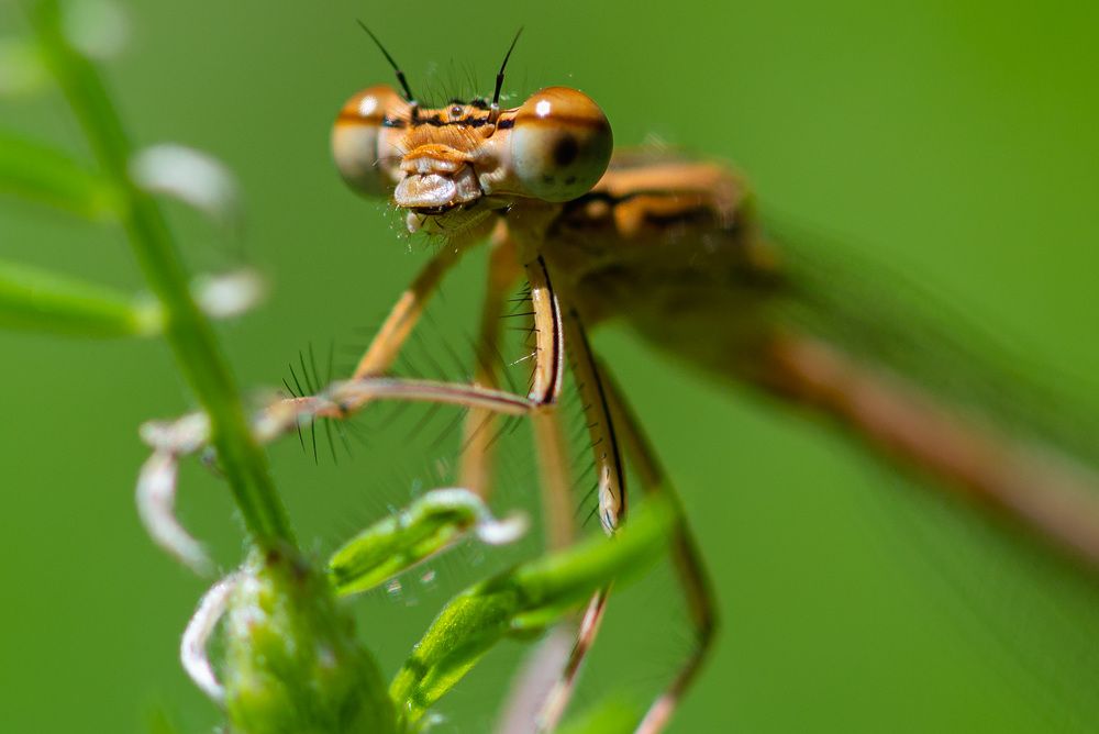 Photograph by Дмитрий Крючков