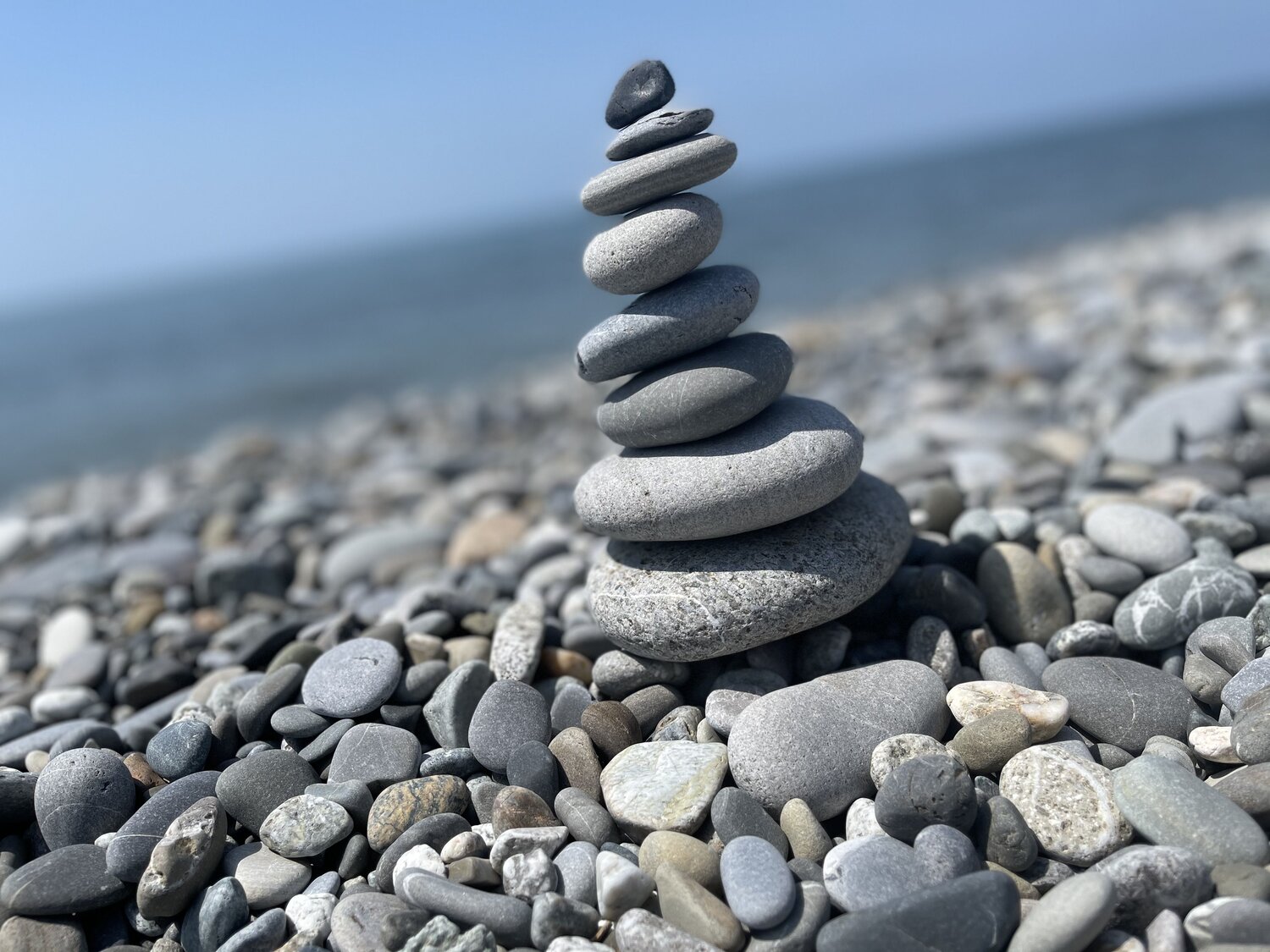 Photo #6236370