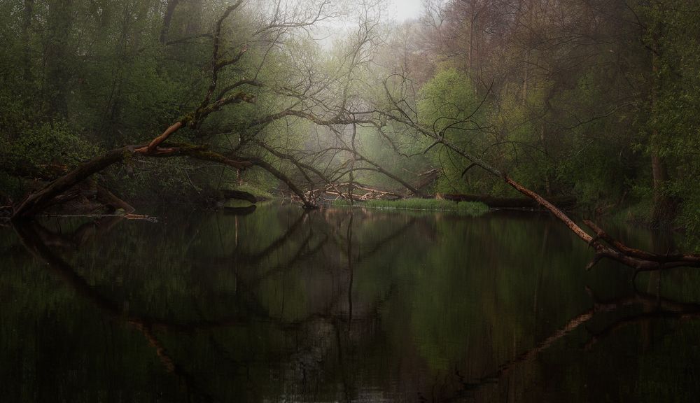 Photograph by Баранов Олег