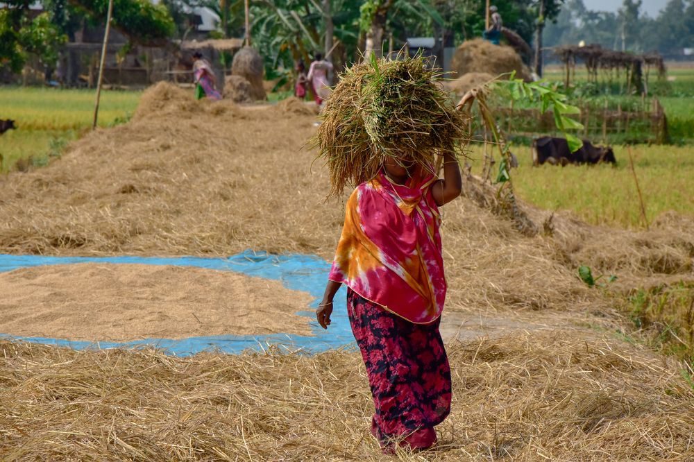 Photograph by Shohag Emranuzzaman