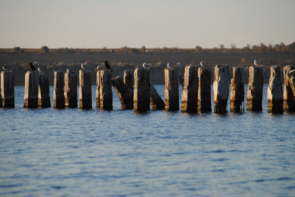 Photograph by Инна Сечко