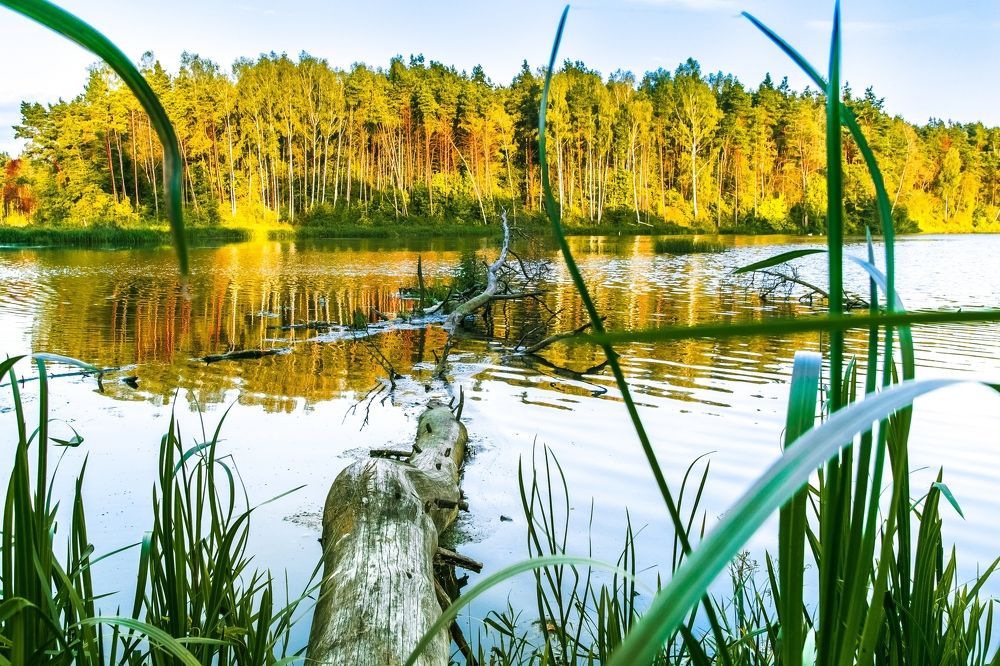 Photograph by Валерий Курбатов