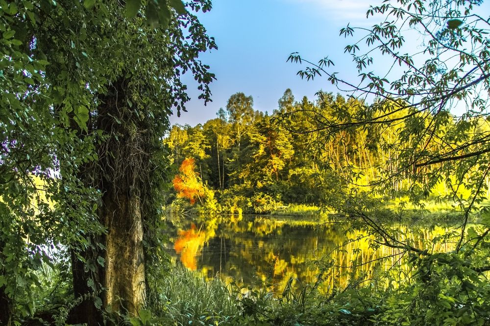 Photograph by Валерий Курбатов