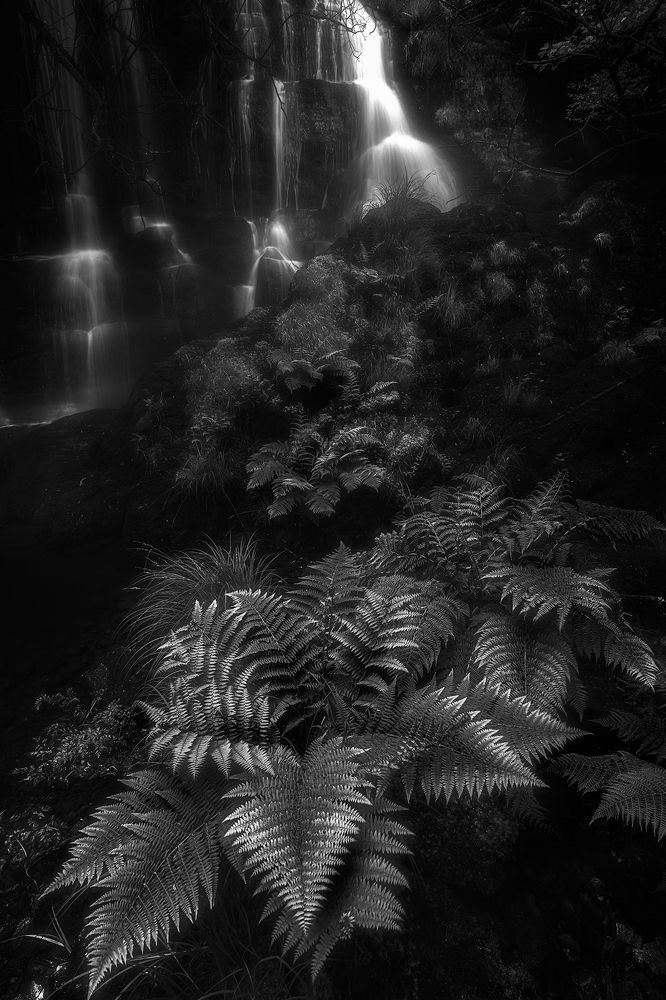 Photograph by Roberto SANMARTIN ALMEIDA