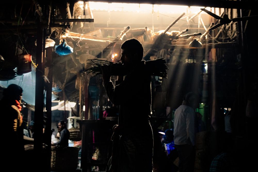 Photograph by Dhritiman Mandal