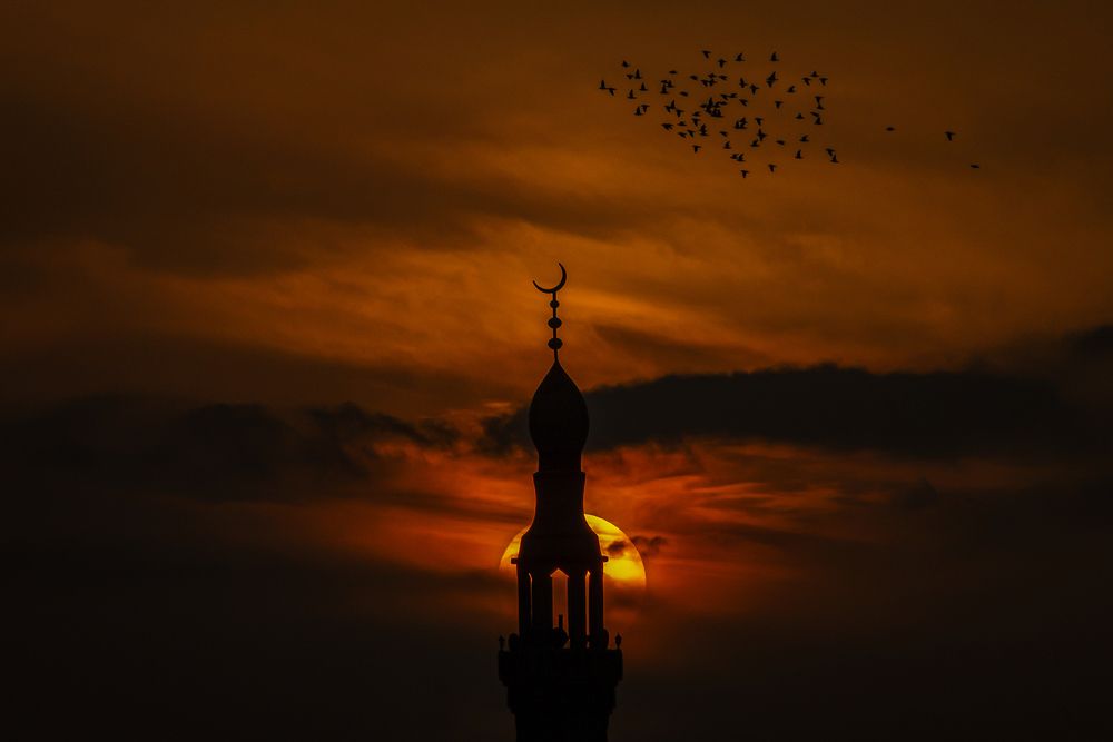 Photograph by Ebrahim Rahiminezhad