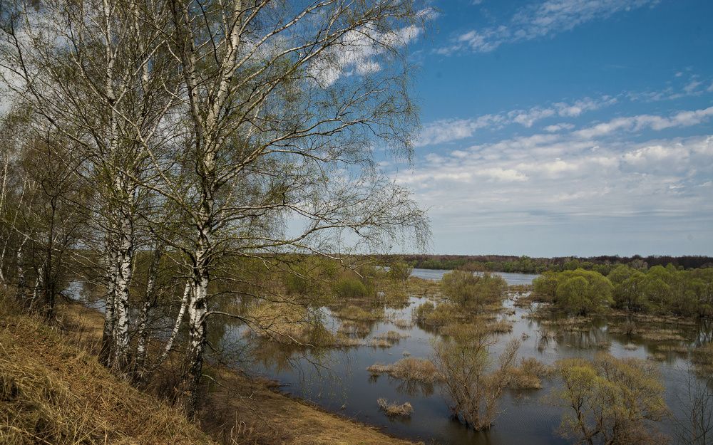 Photograph by Сергей Басов