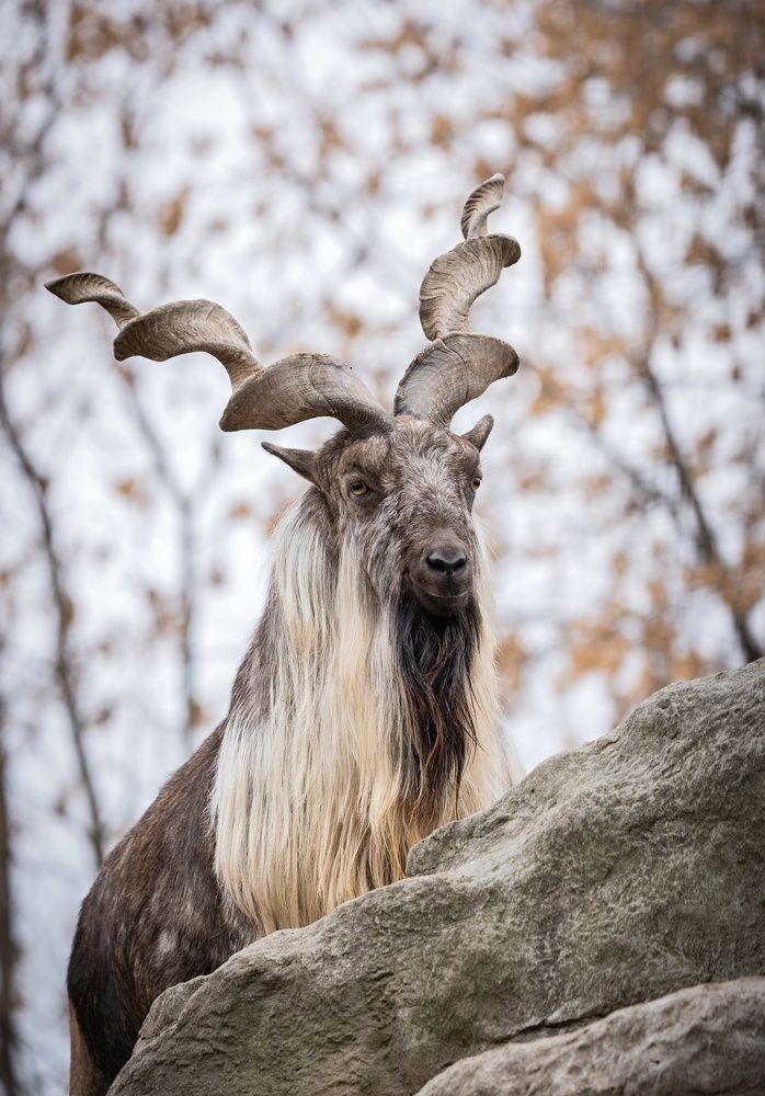 Фотография автора Сергей Басов