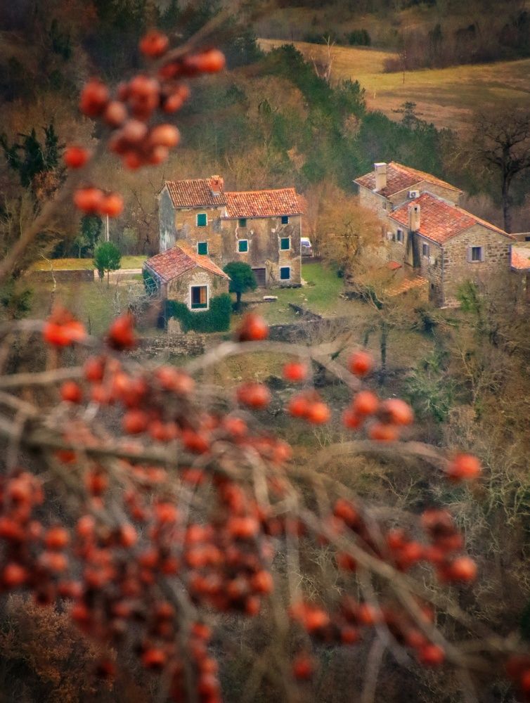Groznjan, Istria