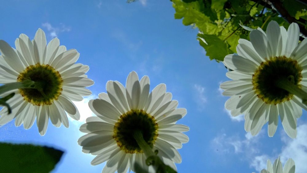 Photograph by Татьяна Стаскевич