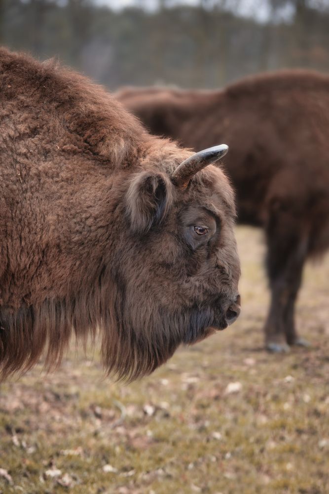 Photograph by Julia Carr