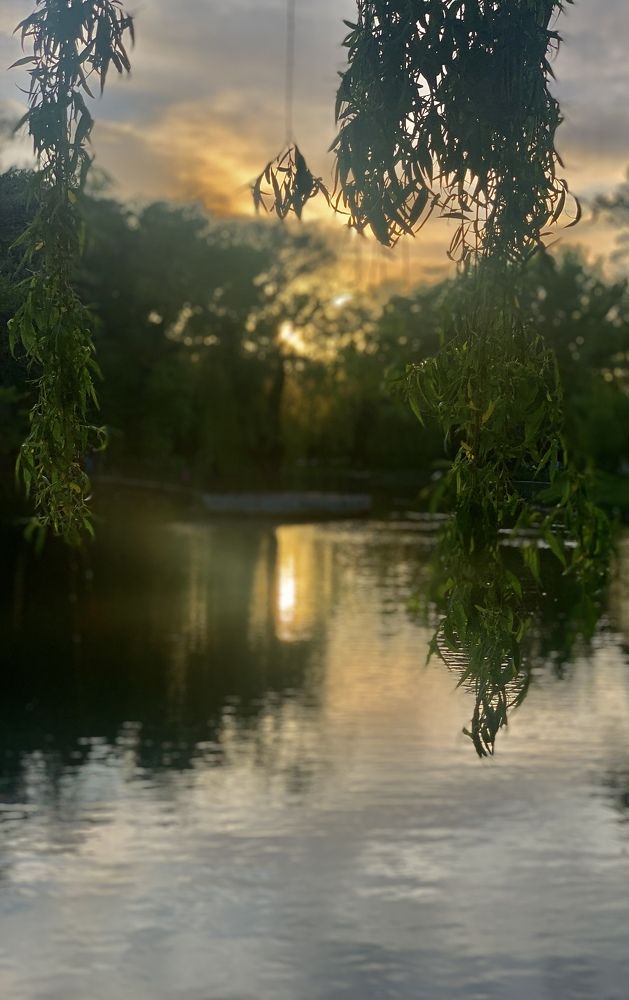 Летний вечер.