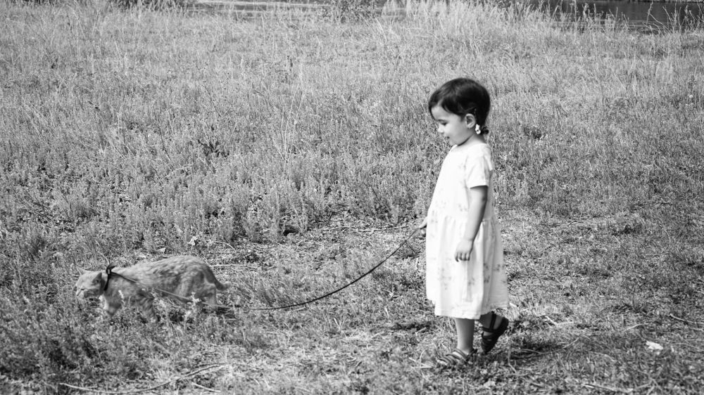 Photograph by Алина КАШКАВАЛ