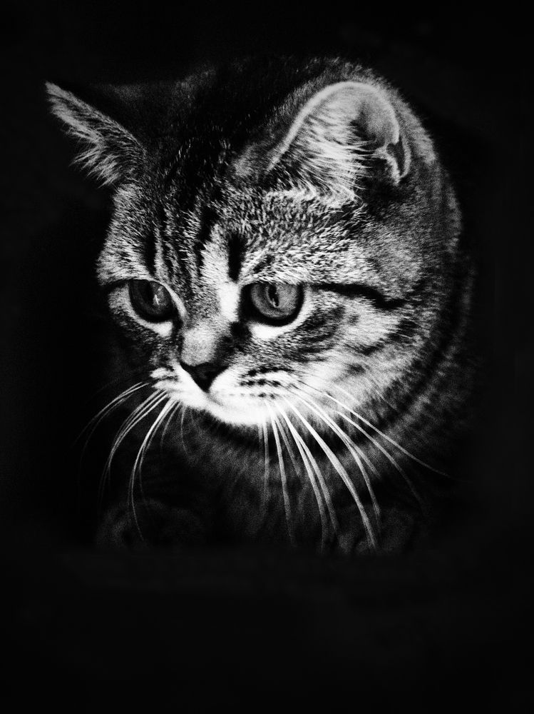 Photograph by Андрей Стрельников