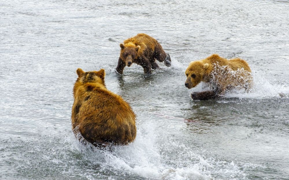 Photograph by Юлия Тельпова