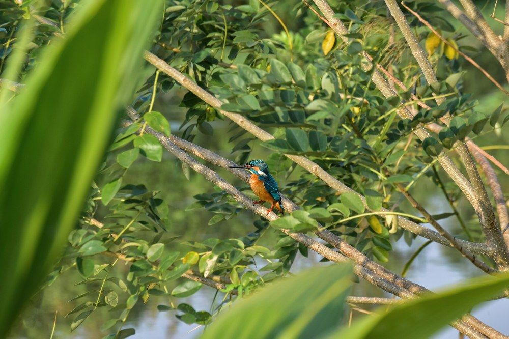 Wating for perfect moment