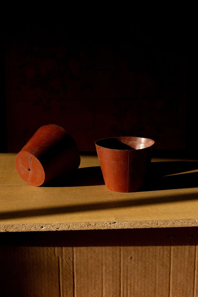 Гармония пустоты