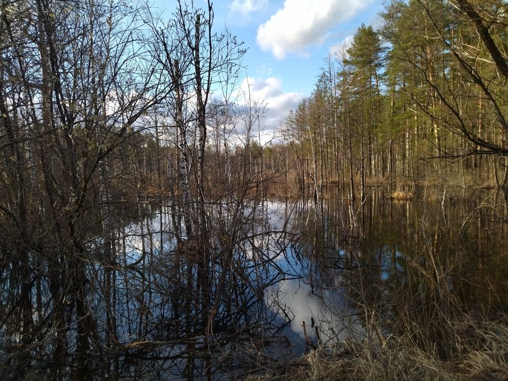 Photograph by Ольга Анисимова