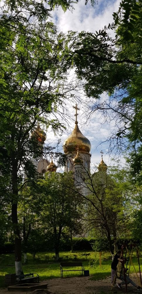 Фотография автора Ольга Мусина