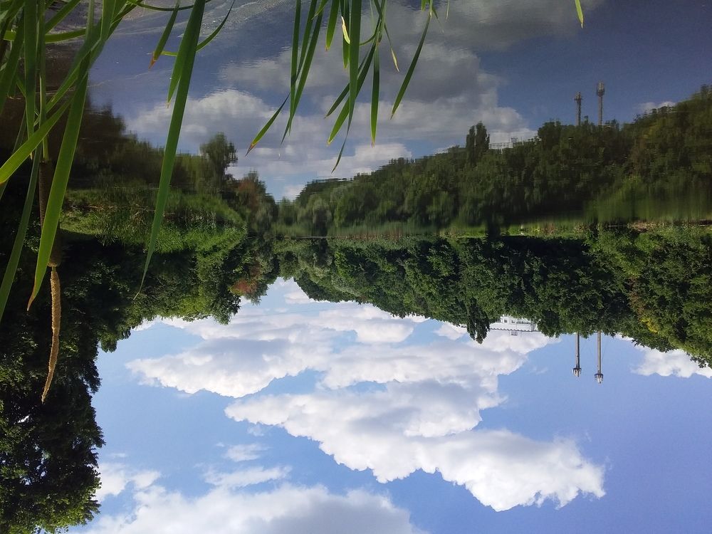 Photo #6237433