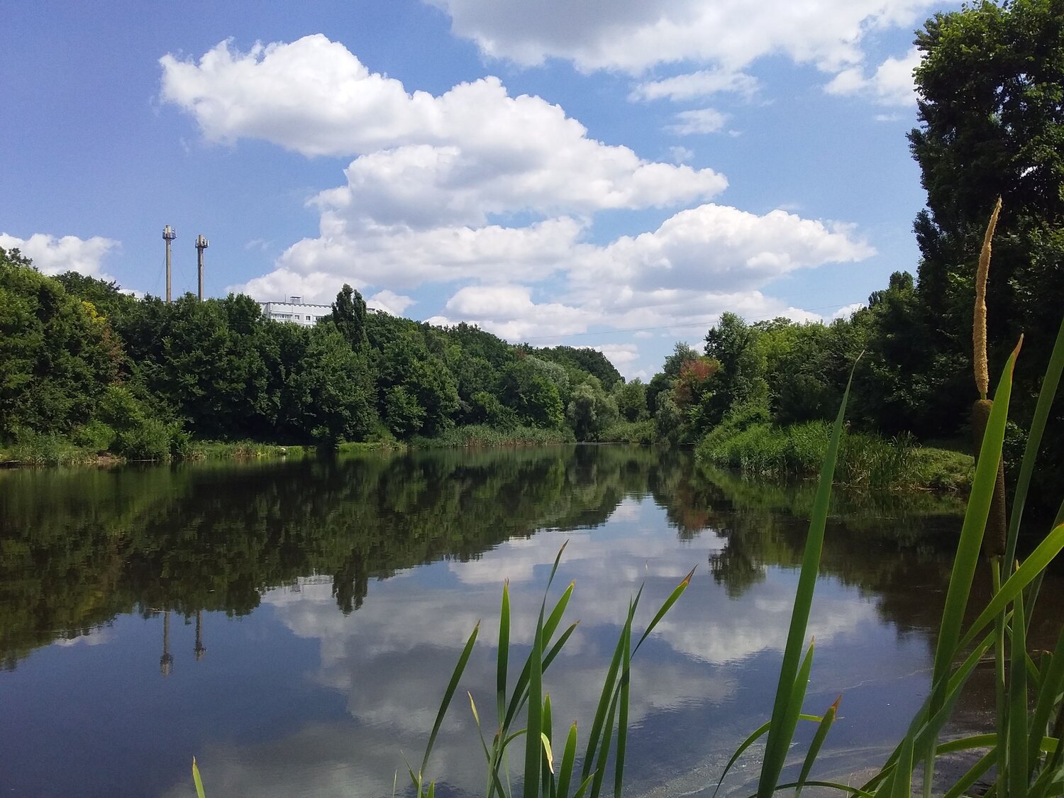 Photo #6237433