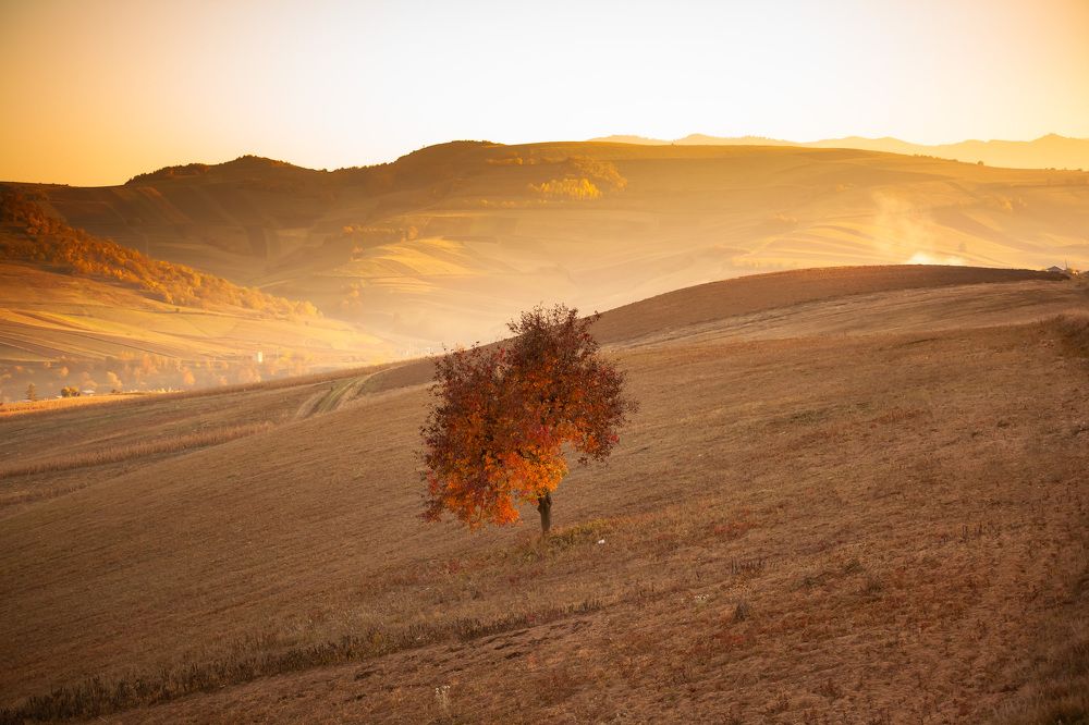 Photograph by Arthur Khachatryan