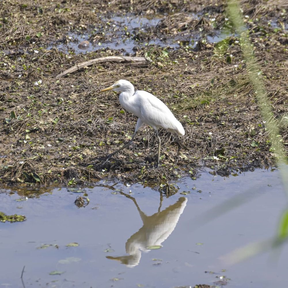 Photograph by Jeenbastian KJ