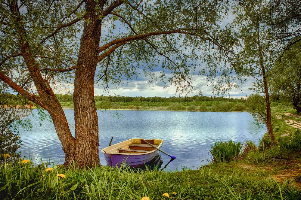 Photograph by Сергей Лисов