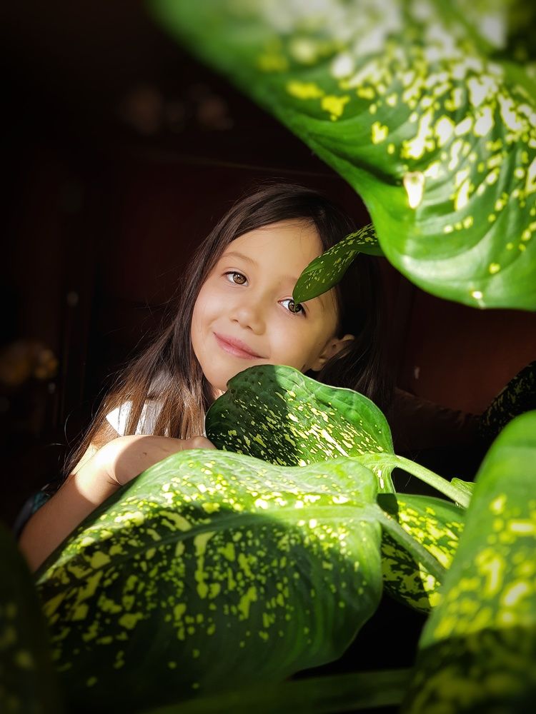 Photograph by Ксения Олина