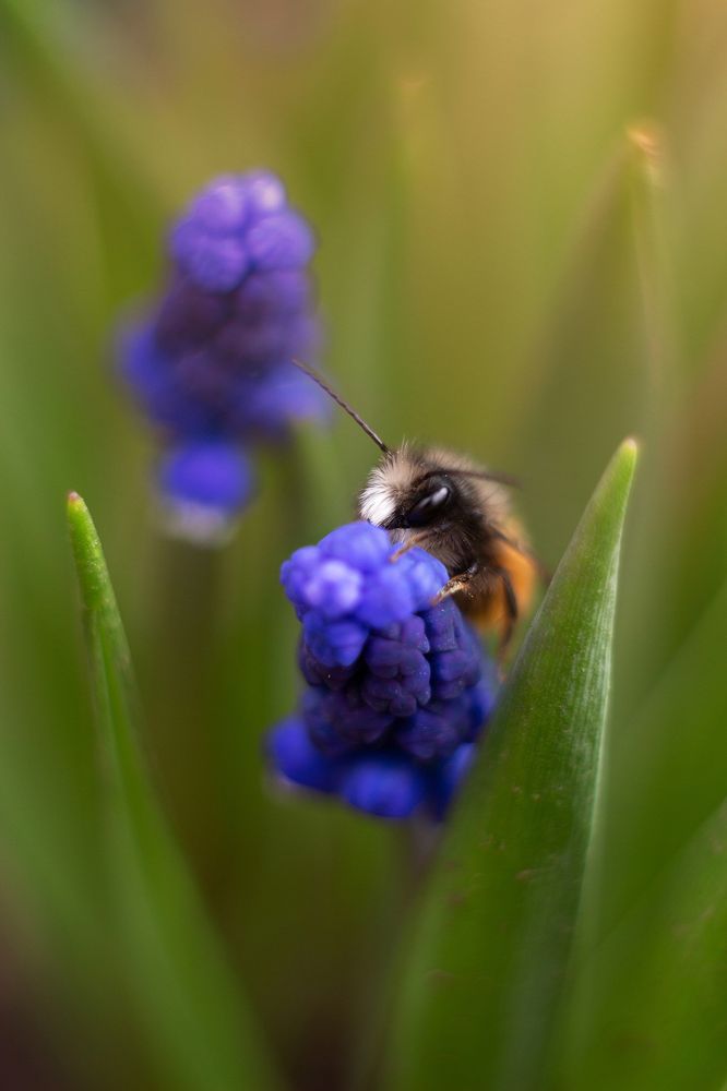 Photograph by Евгения Кинжакова