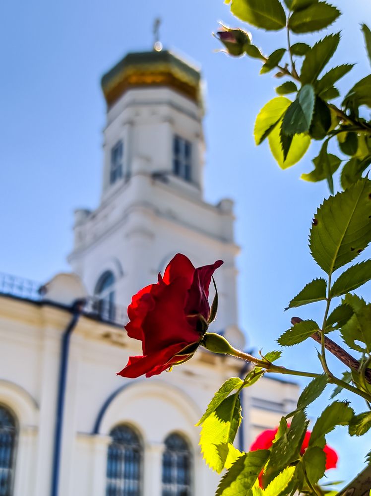 Photograph by Елена Малютина