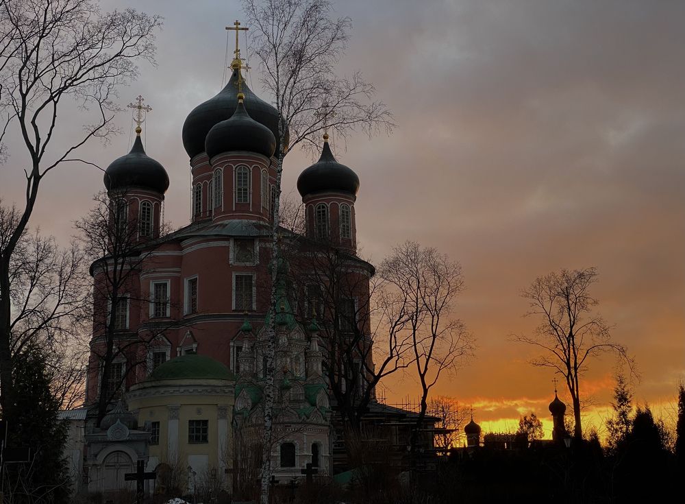 Фотография автора Ольга Горюнова