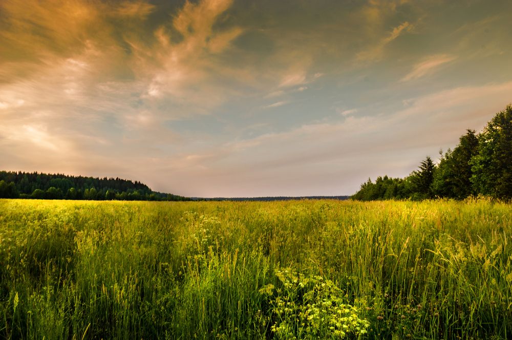 Photograph by Олег Менакер