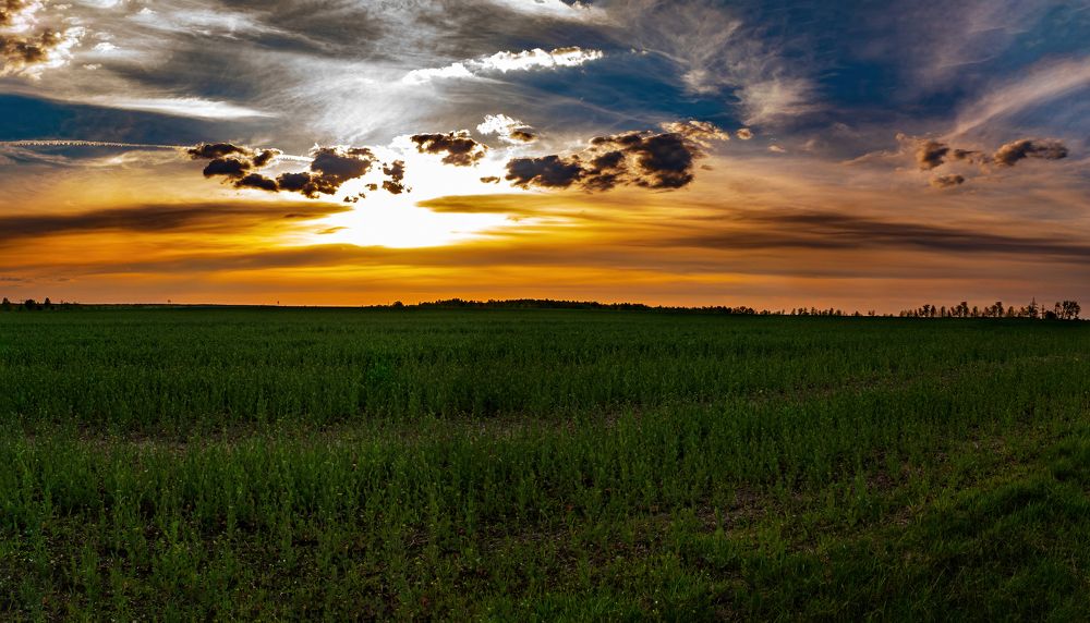 Photograph by Yuriy Malashchenko