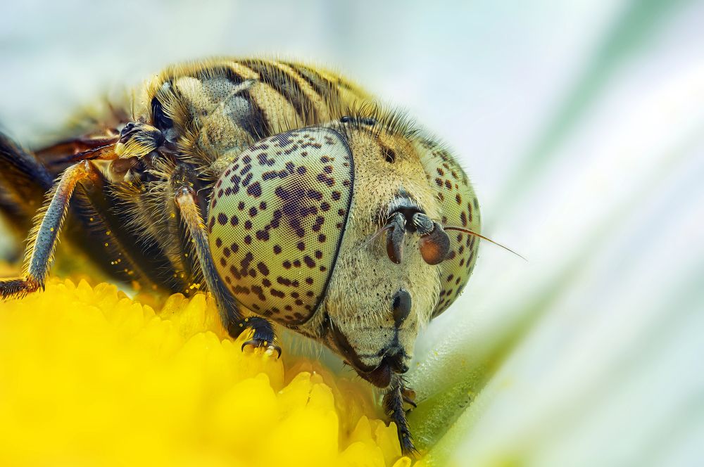 Photograph by Иван Радьков