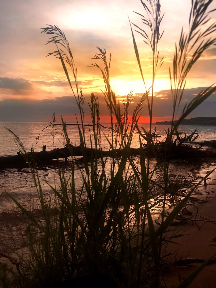 Photograph by Леся Мокринская